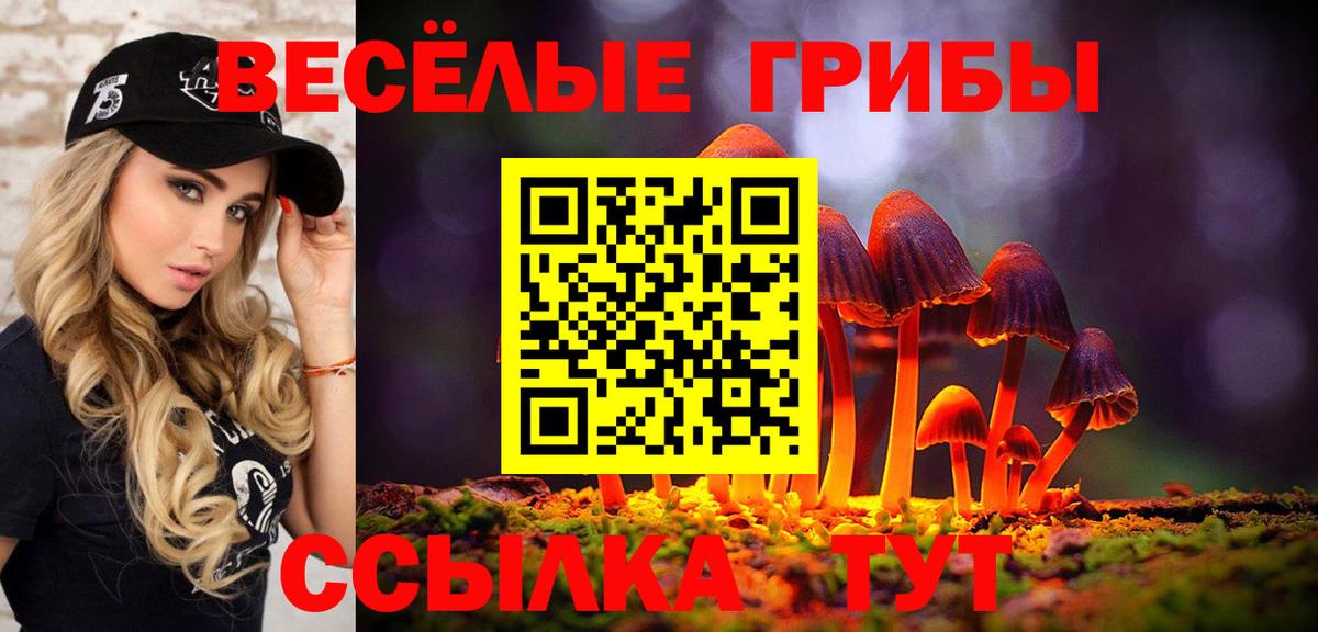 Узловая  Псилоцибиновые грибы Psilocybe  Вход с VPN 