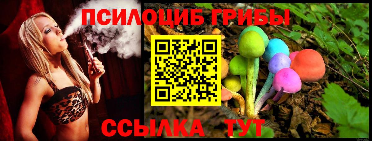 Галлюциногенные грибы Cubensis Узловая